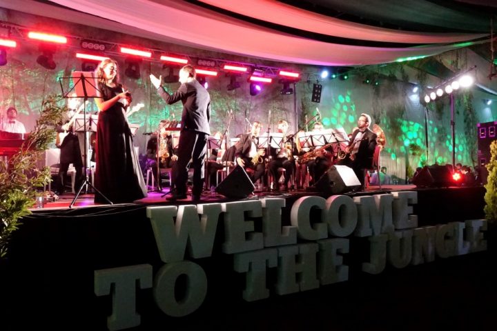 baile_gala 289 Custom